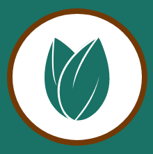 cocoa seed logo