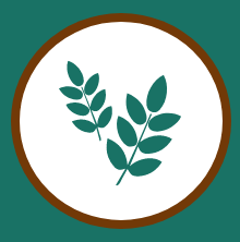 oat leaves logo