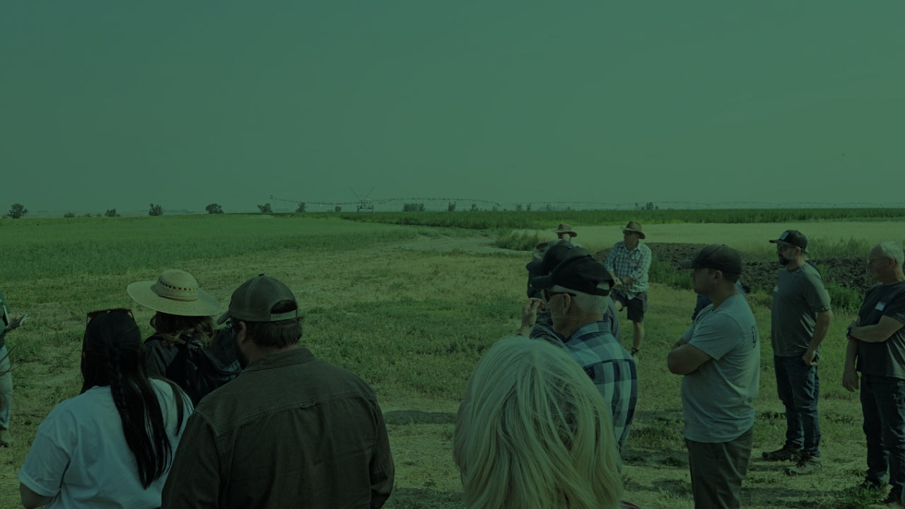People standing in a field