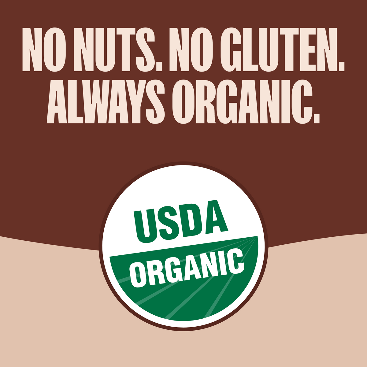 Chocolate Chip Granola Bars