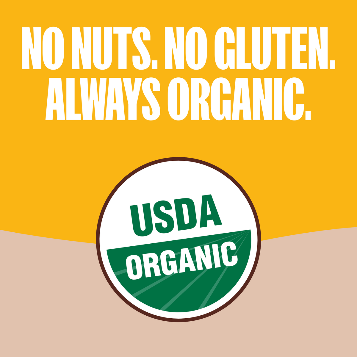 Chocolate Banana Granola Bars