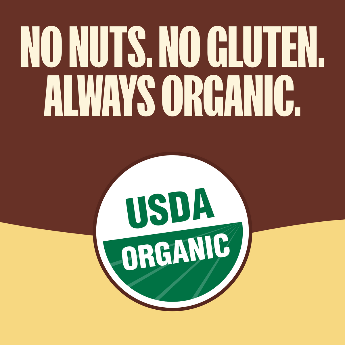 Mornings Chocolate Chip Soft Baked Bars