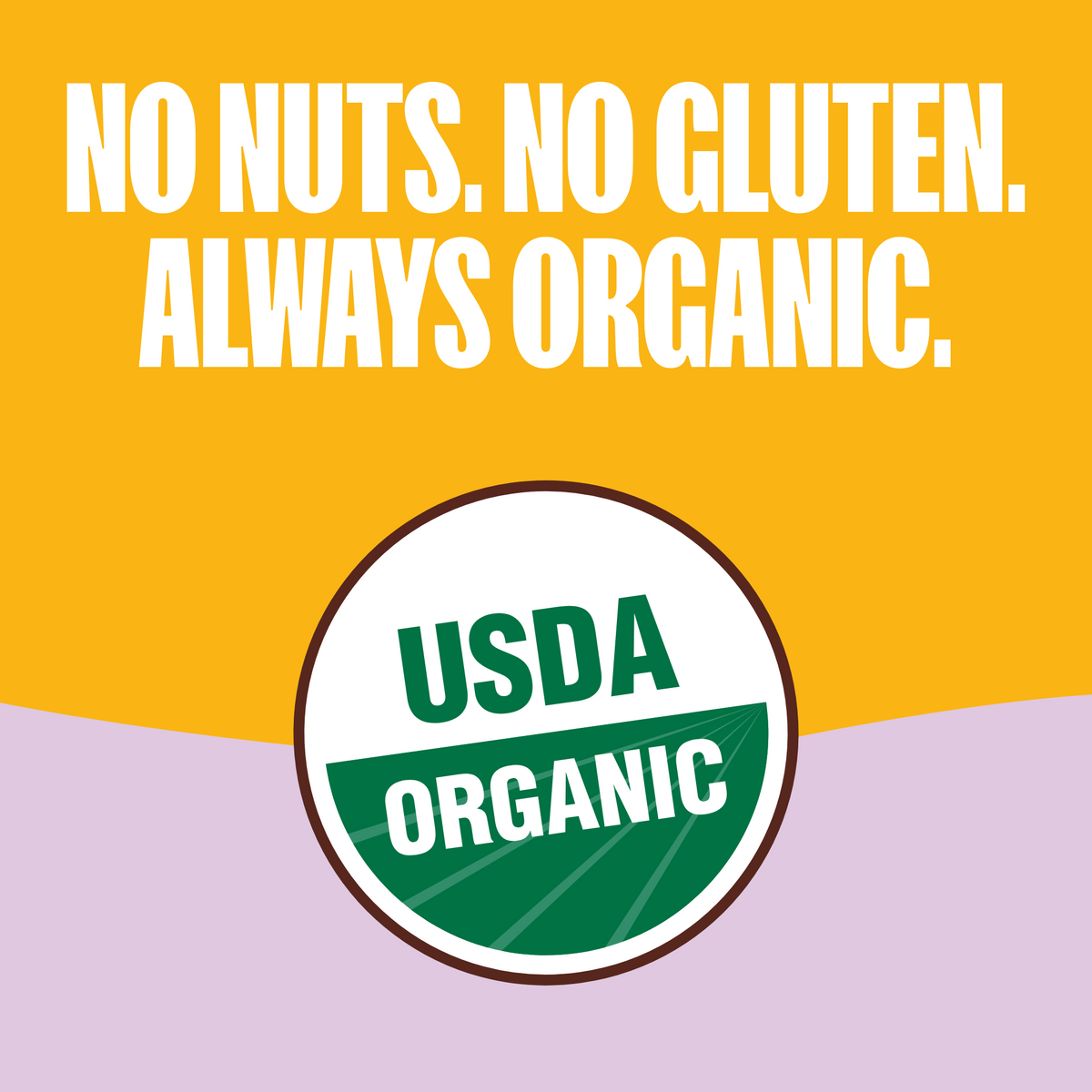 Chocolate Banana Granola Bites