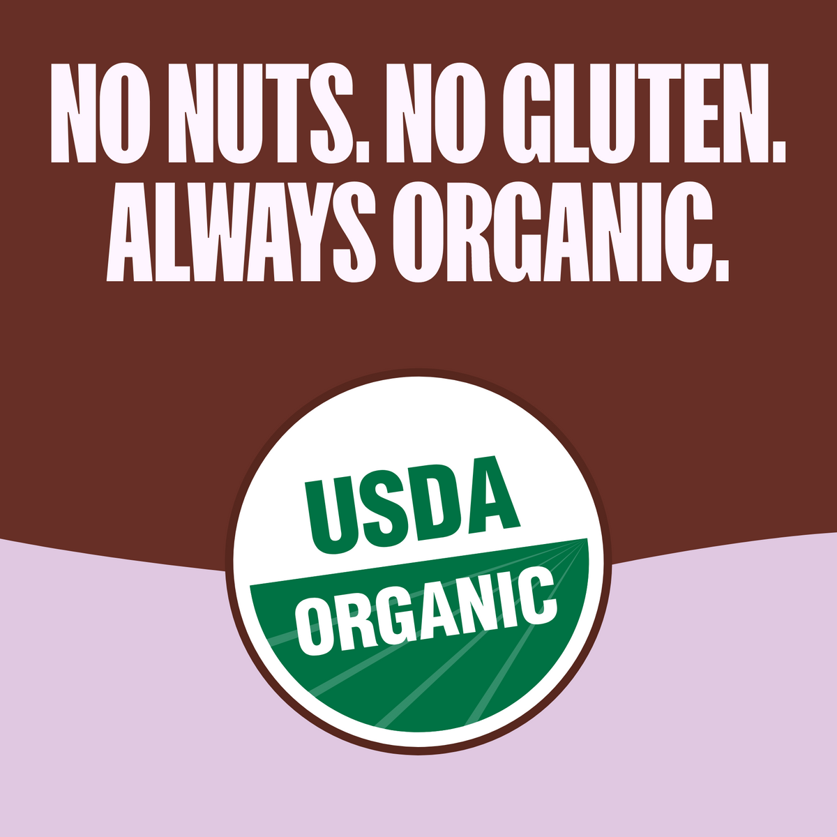 Chocolate Chip Granola Bites