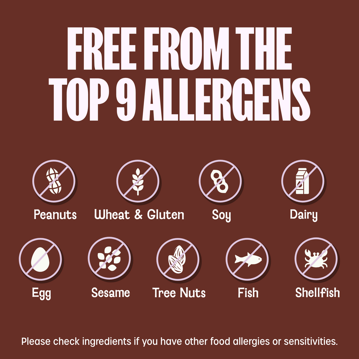 Chocolate Chip Granola Bites