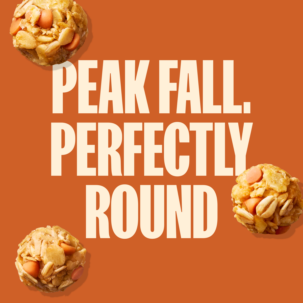 Pumpkin Spice Granola Bites