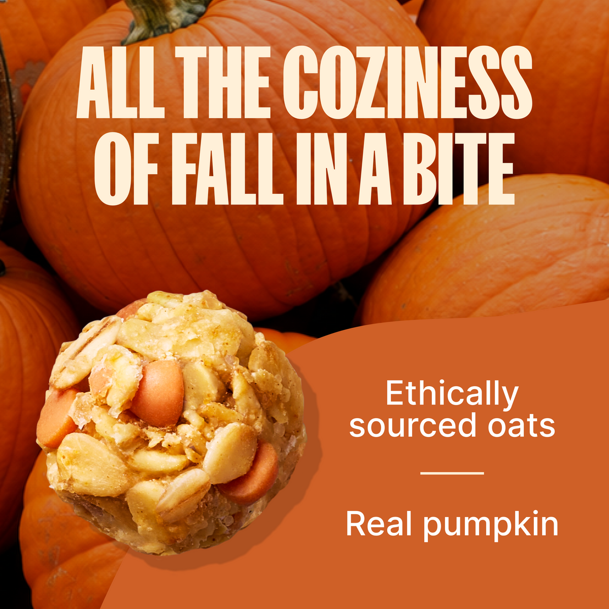 Pumpkin Spice Granola Bites