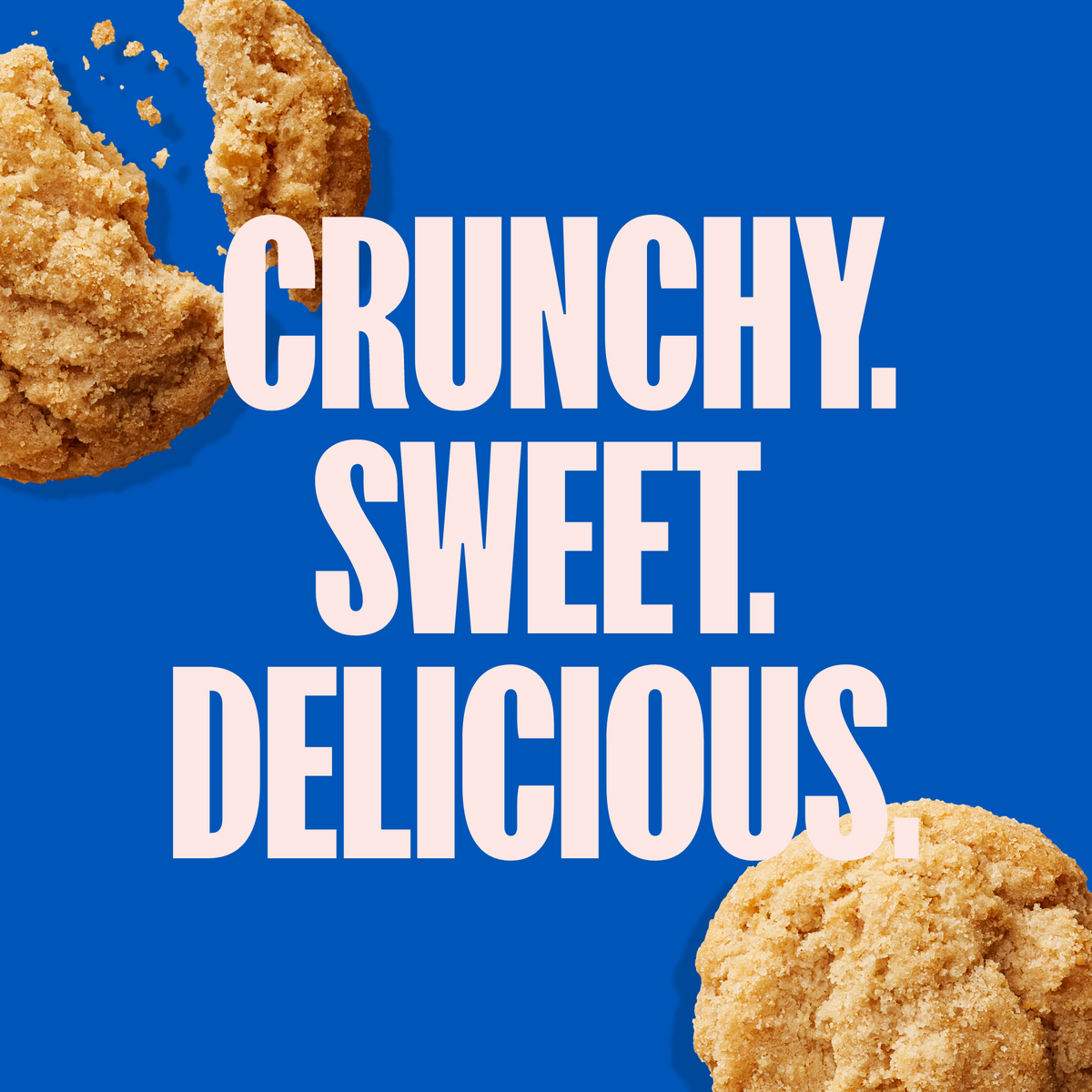 Vanilla Crunchy Cookies