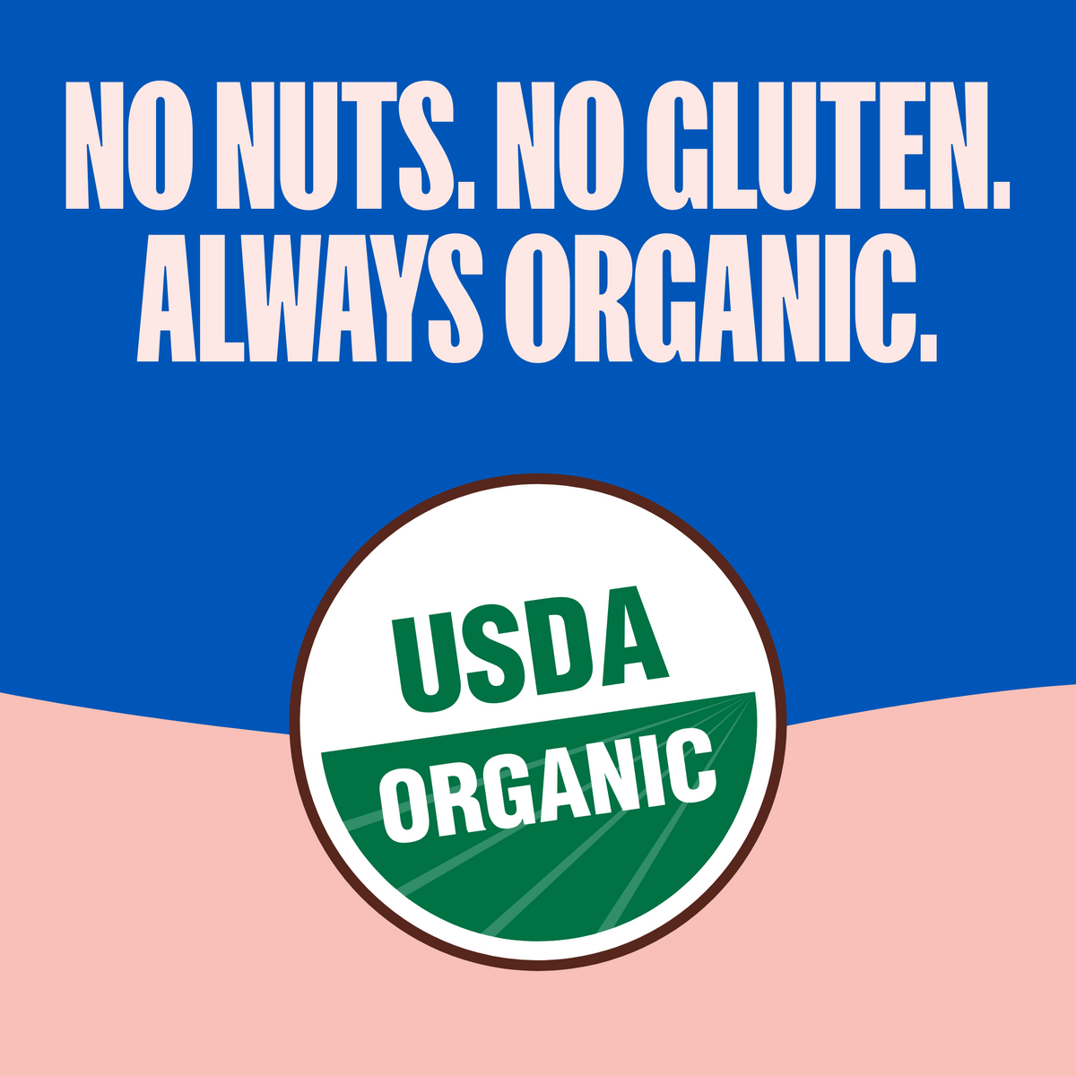 Vanilla Crunchy Cookies