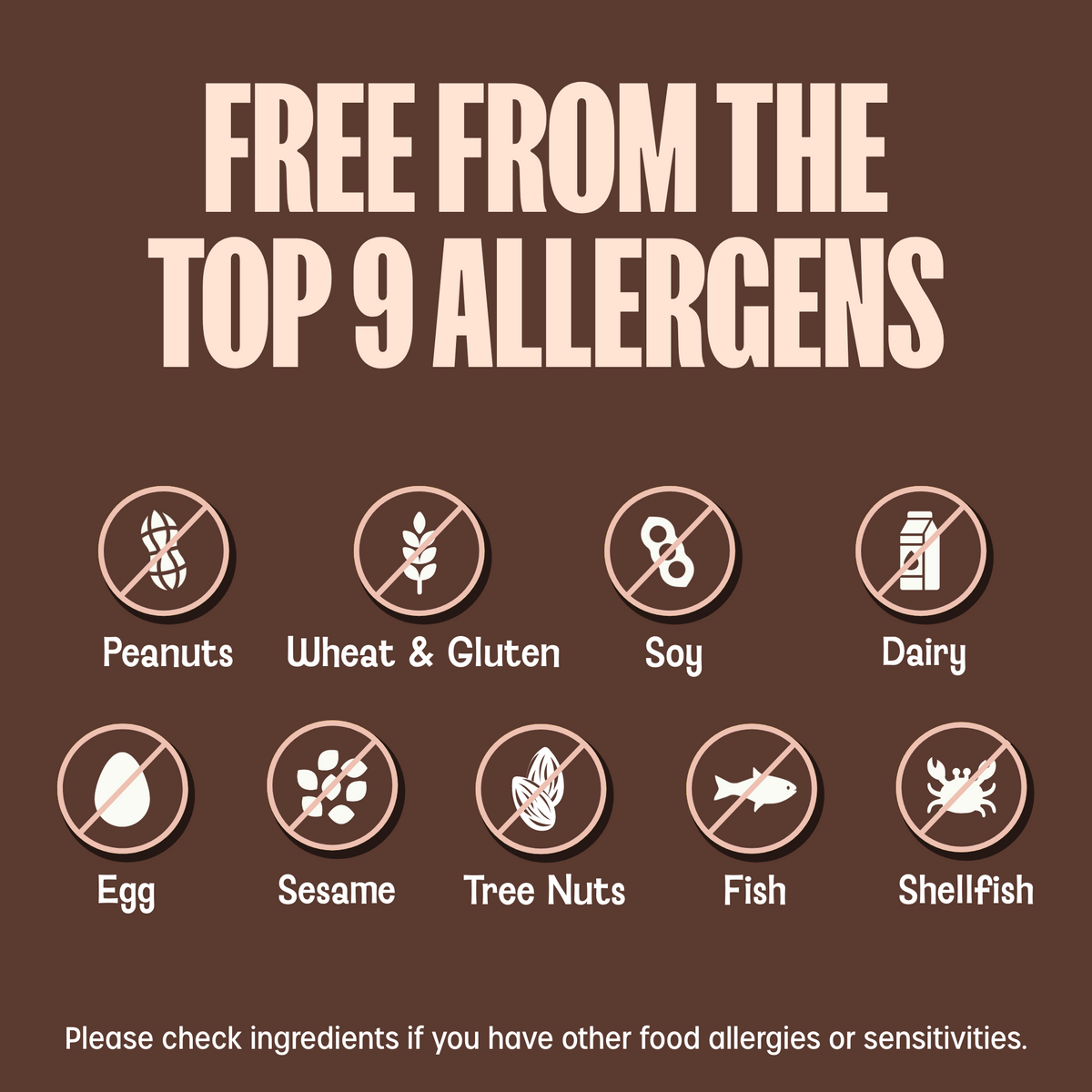 Crunchy Granola Squares - Oats & Dark Chocolate