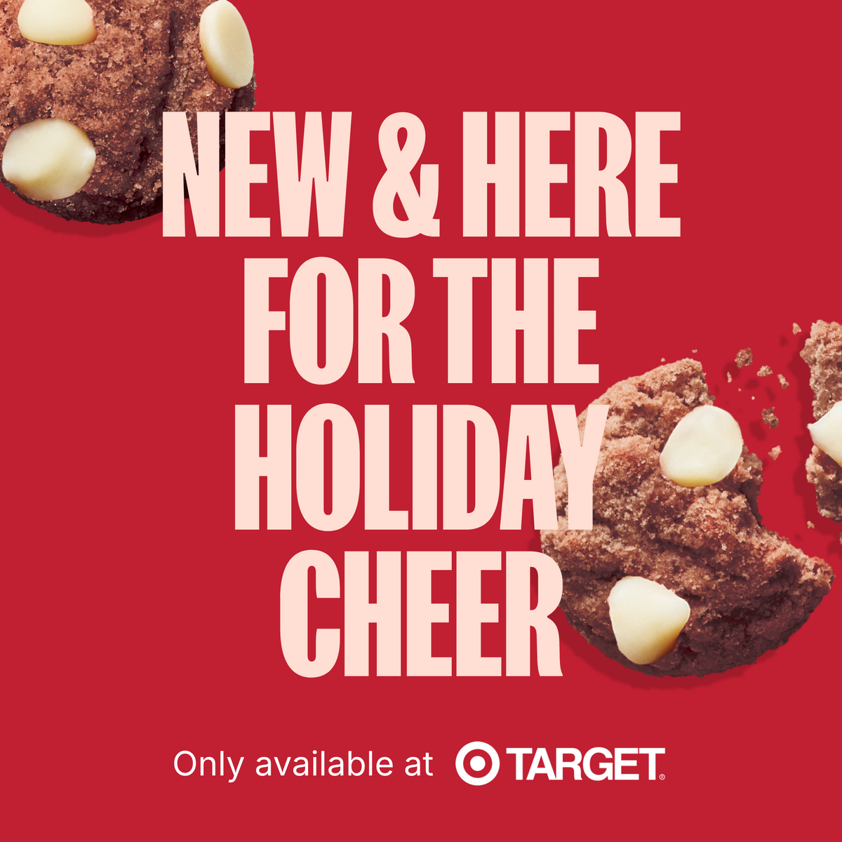 Hot Cocoa Organic Crunchy Mini Cookies