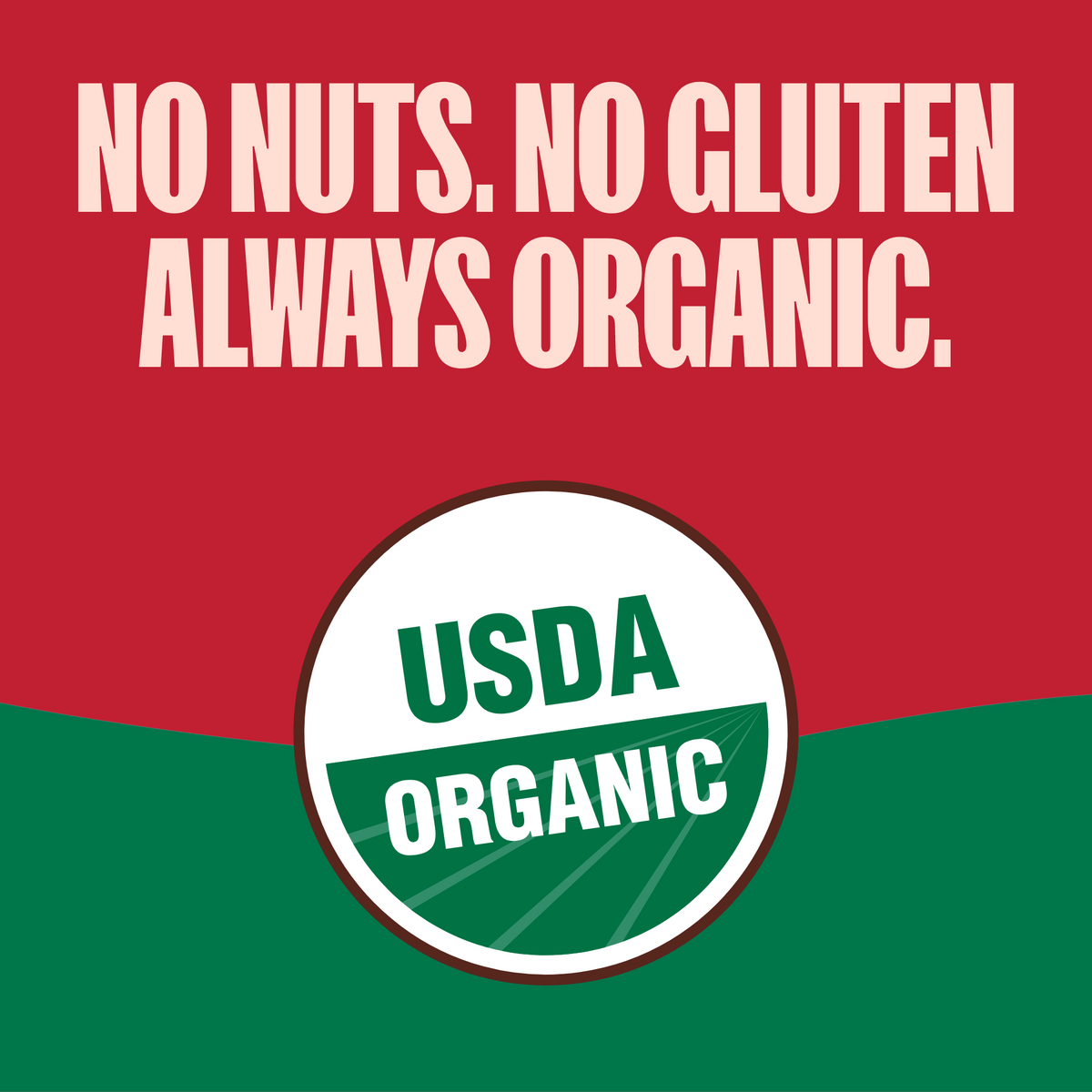 Hot Cocoa Organic Crunchy Mini Cookies