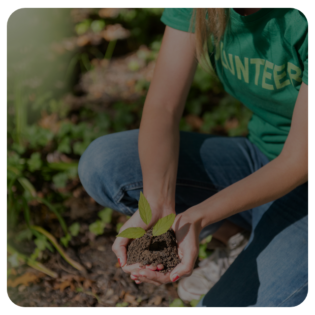 curiosity is change: hands holding a small plant in a garden